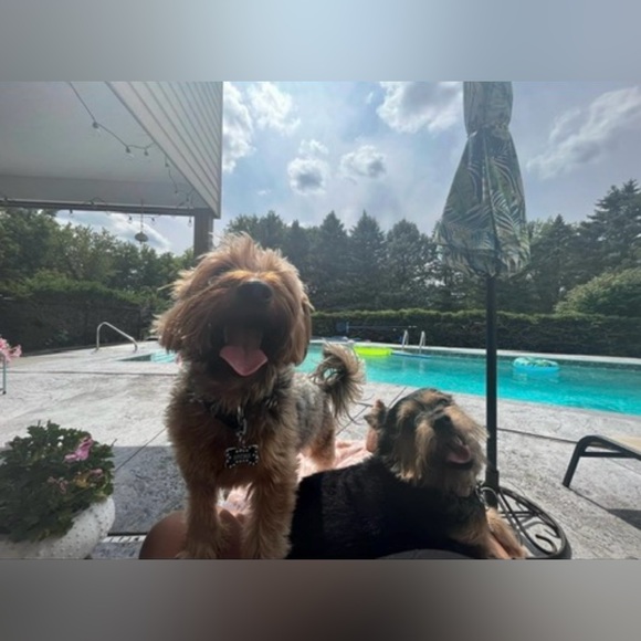 β¨Iβm Live, Come Join Meπβ¨π¦ - Picture 15 of 17